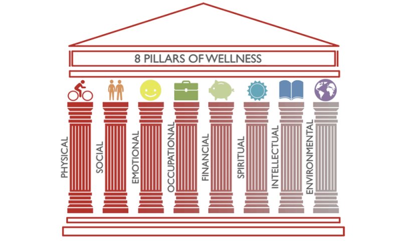 What Are The Pillars Of Wellness?